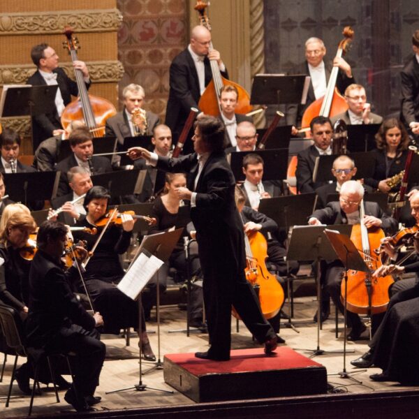 Il maestro d'orchestra conduce i suoi musicisti. La conduzione maieutica dei gruppi di lavori è il corso per imparare come far lavorare un gruppo, facilitarne lo sviluppo e favorire la crescita delle persone che ne fanno parte.