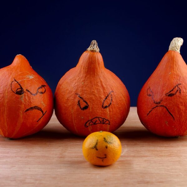 Immagine per il corso sul bullismo "I bulli non sanno litigare".